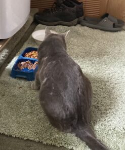 Meow Mix Tender Centers Dry Cat Food, Salmon & Chicken, 13.5 Pound Bag 13.5 Pound (Pack of 1) 39 811J QdoqAL