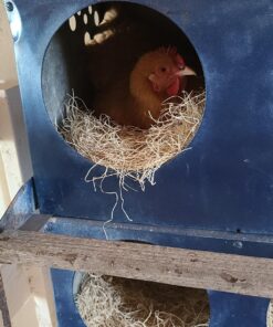 MagJo Premium Aspen 12 Pack Excelsior Nesting Liners (12 Pack), Chicken Bedding for Nesting Box, Nesting Pads Box Liners, Chicken Bedding for coop, Chick Bedding, USA Grown & Sustainably Harvested 40 811K8GSvTIL