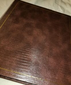 Pioneer LM100 Binder Magnetic 3-ring Photo Album 100-page , Pack of 1 9 811LL8StxuL