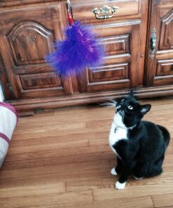 GoCat DaBird Feather Refill, Assorted Colors, Pack of 3 3 Pack 18 811MNaQGhWL