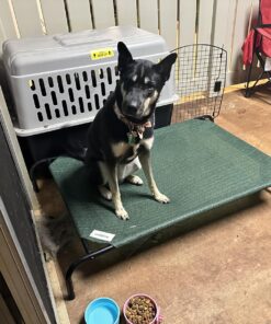 Coolaroo Gale Pacific The Original Cooling Elevated Dog Bed, Indoor and Outdoor, Large, Brunswick Green, 51.00" x 31.50" x 8.00" 51.0"L x 31.5"W x 8.0"Th 32 811NgI qJML