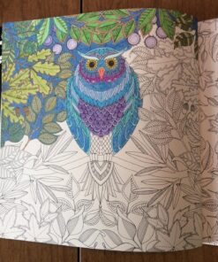 Secret Garden: An Inky Treasure Hunt and Coloring Book for Adults 116 811VD04nRML