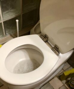 Mayfair 830NISL 000 Toilet Seat, 1 Pack-ROUND, White-Brushed Nickel Hinges 1 Pack - ROUND White - Brushed Nickel Hinges 29 811VHt1RLbL