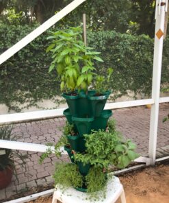 Mr. Stacky 1305-HG 5-Tier Stackable Strawberry, Herb, Flower, & Vegetable Planter - Vertical Gardening Indoor / Outdoor Stacking Garden Pots Hunter Green, 22.5 Quarts 33 811cvVkicAL