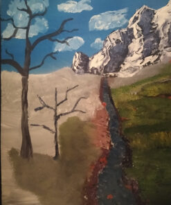 Martin/ F. Weber Bob Ross Master Paint Set 35 811hdpR DDL