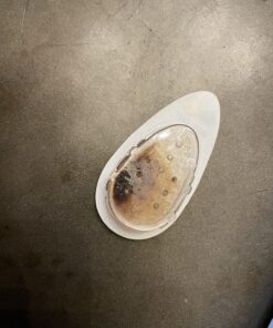 Eva-dry E-333 Mini Dehumidifier, Pack of 1, White Sand 36 811iCOYfxXL