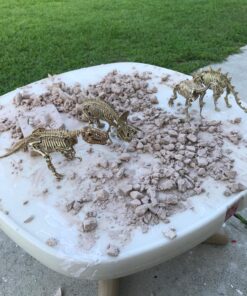 Large Dinosaur Excavation Kit 35 811iKwAVE2L