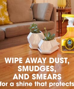 Pledge Wood Oil, Expert Care, Trigger, Orange Scent, 16 oz 16.00 Fl Oz (Pack of 1) 22 811n 92nMoL