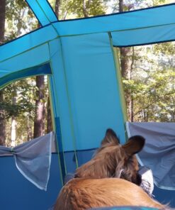 Coleman 8-Person Camping Tent with Built-in Closet | Tenaya Lake Cabin Tent with Fast Pitch Setup 81 811orGcQ2XL