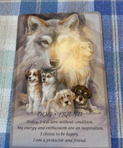 Spirit of the Animals Oracle 89 811tZNHF8kL