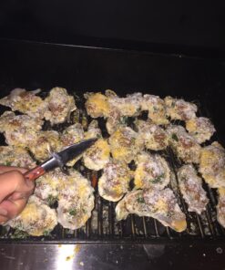 HiCoup Oyster Shucking Knife and Glove Kit - Clam and Oyster Knife Shucker Set with Stainless Steel Seafood Opener Tool, Wood Handle and Gloves 62 811vpG94PgL