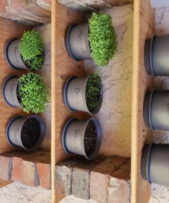 12 Culinary Herb Seeds Assortment - Non-GMO Herb Garden Starter Set - Grow Cooking Herbs: Parsley, Thyme, Cilantro, Basil, Dill, Oregano, Sage & More 45 811xrP6TC L 3