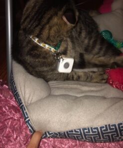 Tile Mate (2016) - 4 Pack - Discontinued by Manufacturer 33 811zBLzpdXL