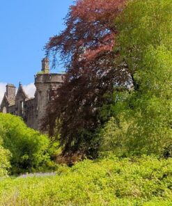 Gift Republic: Become a Laird or Lady Gift Box (GR100008) 17 812 dNik8BL