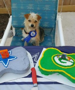 K9Cakery Silicone Cake Pan, 10-Inch by 13-Inch 24 8121pPeTRL