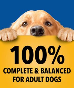 PEDIGREE CHOPPED GROUND DINNER Adult Canned Soft Wet Dog Food Variety Pack, with Chicken and with Beef, 13.2 oz. Cans (Pack of 12) Beef & Chicken 13.2 Ounce (Pack of 12) 27 8121qfB3YBL