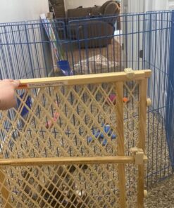 Kaytee Pet-N-Playpen with Mat for Pet Rabbits, Guinea Pigs, Ferrets or Other Small Animals 24 8124jrxgXL