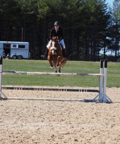 OM SYSTEM OLYMPUS M.Zuiko Digital 40-150mm F4.0-5.6 R Black For Micro Four Thirds System Camera, 3.75x Zoom Lens, Portable Design Standard Packaging 88 8128QcMpJUL