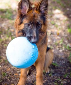 Alternative view of Jolly Pets Bounce-n-Play Dog Toy Ball, 8 Inches/Large, Blueberry, (Model: 2508 BB) Large (8 in)