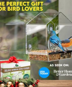 Window Bird Feeders for Outside - Large Bird House Style Window Bird Feeder - Window Bird Feeders with Strong Suction Cups with Drain Holes, Removable Tray, Large Seed Capacity and Rubber Perch 22 812ByncKxL