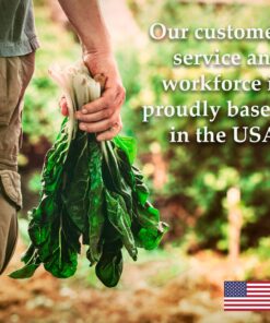 7 Varieties of Leafy Power Green Organic Seeds, Non-GMO Seeds for Planting, Heirloom Seeds - Spinach Seeds, Arugula, Kale, Lolla Rossa Lettuce Seeds, Buttercrunch, Gourmet Mix Lettuce, Swiss Chard 38 812DTRAP8UL