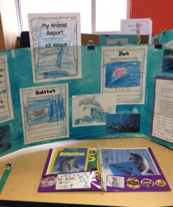 National Geographic Readers: Dolphins 3 812HXvjihrL