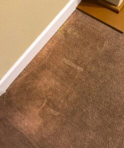 Rocco & Roxie Stain & Odor Eliminator for Strong Odor - Enzyme Pet Odor Eliminator for Home - Carpet Stain Remover for Cats and Dog Pee - Enzymatic Cat Urine Destroyer - Carpet Cleaner Spray (Gallon) Gallon 29 812JQtCXSaL