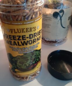 Fluker's Freeze Dried Insects - Mealworms, 1.7oz 37 812JXJoYhpL