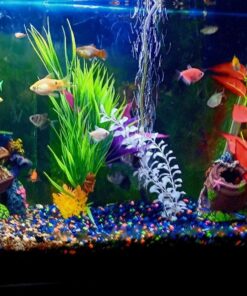 Tetra Whisper Power Filter for Aquariums, 3 Filters in 1, Up to 40-Gallons 41 812YiZEQtbL