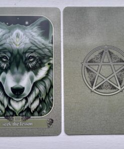 Messanger Oracle 28 812fENnrN7L