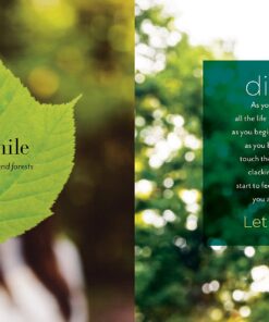 Forest Bathing Retreat: Find Wholeness in the Company of Trees 17 812kMXiPozL