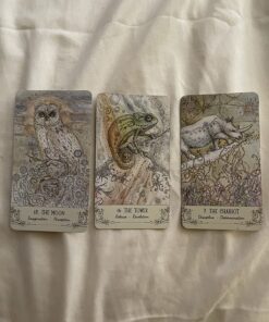 Spiritsong Tarot 50 812lQfwJUBL