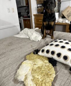 Linenspa Waterproof Smooth Top Premium Queen Mattress Protector, Breathable & Hypoallergenic Queen Mattress Covers - Packaging may vary, White 30 812mOA3oB8L