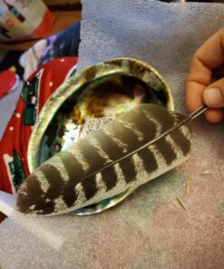 Smudge Kit - White Sage, Palo Santo, Abalone Shell, Smudging Feather, for Healing, Purifying, Meditating & Incense (Essentials) 42 812n2RUW5L 1