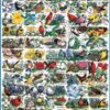 White Mountain Puzzles State Birds and Flowers - 1000 Piece Jigsaw Puzzle 10 812pIXSJyiS