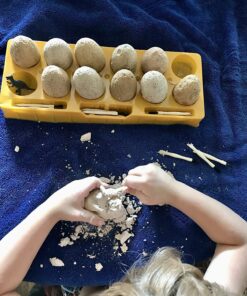 Dig a Dozen Dino Egg Dig Kit for Kids - Dinosaur Toys Gift 3-12 Year Old - 12 Eggs & Surprise Dinosaurs - Science STEM Activities - Educational Boy Toy Party Gifts for Boys & Girls Ages 3-5 4-7 5-7+ 54 812q IYlOBL