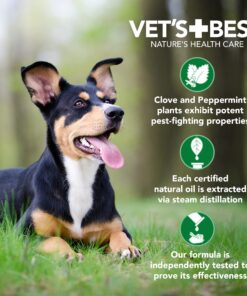 Vet’s Best Flea & Tick Advanced Strength Dog Shampoo - Dog Flea and Tick Treatment - Plant-Based Formula - Certified Natural Oils - 12 oz 21 812qds7mYeL 9
