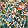 White Mountain Puzzles Butterflies of the World - 1000 Piece Jigsaw Puzzle