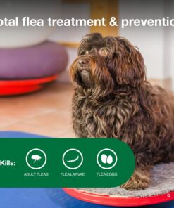 Advantage II Small Dog Vet-Recommended Flea Treatment & Prevention | Dogs 3-10 lbs. | 6-Month Supply 15 812x0SbB9DL