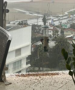 12 Inches Tube Bird Feeders for Outdoors Hanging, 4 Feeding Ports, Hard Plastic Bird Feeder Outdoor Weatherproof and 4 Inch Steel Hanger, Wild Bird Feeders, Finch Feeder, Bird Feeders Outside Hanging 1 4 Ports 55 812xFddzUkL