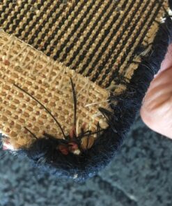 Upholstery Repair Kit with 2 Spools (1 White & 1 Black Spool) and 7 Different Sized Needles | Leather Repair Kit, Furniture, Clothes, Car, Fabric, Couch, Vinyl, Boat, Seat, Carpet, Shoe | Patch Fabric 26 812xqRZeZrL