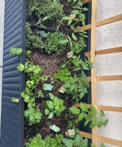 Keter Easy Grow 31.7 Gallon Raised Garden Bed with Self Watering Planter Box and Drainage Plug-Perfect for Growing Fresh Vegetables, Flowers and Herbs Graphite 35 812yVd1JJBL