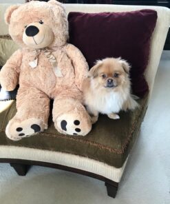 JOON Huge Teddy Bear With Ribbon, Tan 32 812z3gtZQzL