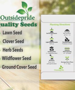 Outsidepride Gaillardia Pulchella Red Blanket Flower Heat & Drought Tolerant Garden Plants - 1000 Seeds 13 813 OdBm0PL