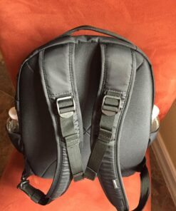 Pacsafe Metrosafe LS350 15 Liter Anti Theft Laptop Daypack/Backpack - with Padded 13" Laptop Sleeve, Adjustable Shoulder Straps, Patented Security Technology, Black Pacsafe Metrosafe Ls350 Anti-theft 15l Travel Backpack - Black 36 813 gXCxPL