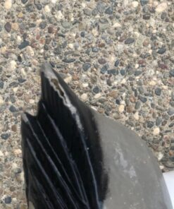 Poolmaster Adustable Chlorine Dispenser for Swimming Pools and Spas, Mallard 36 813CdZBkRML