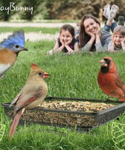 Alternative view of Gray Bunny Ground Bird Feeder Tray, Metal Platform Bird Feeder Dish Size 7 x 7 Inches, Durable Rust Resistant Feeder for Wild Birds, Squirrels, Doves, Cardinals 1 Pack (7x7 inches)