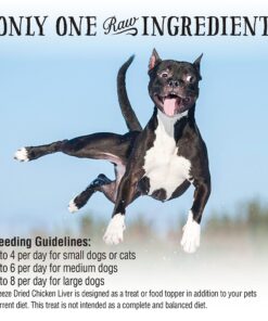 Northwest Naturals Raw Rewards Freeze-Dried Chicken Liver Treats for Dogs and Cats - Bite-Sized Pieces - Healthy, 1 Ingredient, Human Grade Pet Food, All Natural - 3 Oz 3 Ounce (Pack of 1) 9 813HF1sKcL