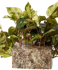 Nearly Natural 15in. Pothos Ledge Plant (Set on Foam) Silk Plant,Green 29 813KDhfwL