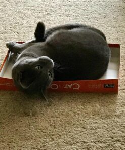 Late for the Sky CAT-opoly Board Game White, Large 50 813KI29PlL